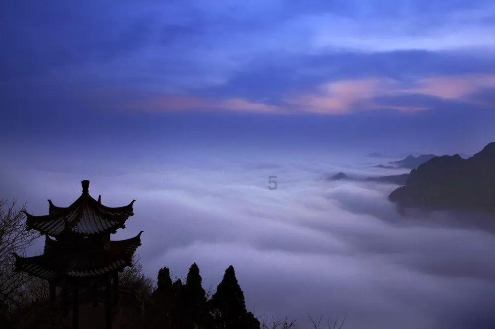 专注问答平台-水煮鱼好吃么答疑解惑